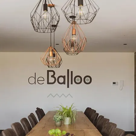 Holiday home De Balloo, Met Sauna En Jacuzzi